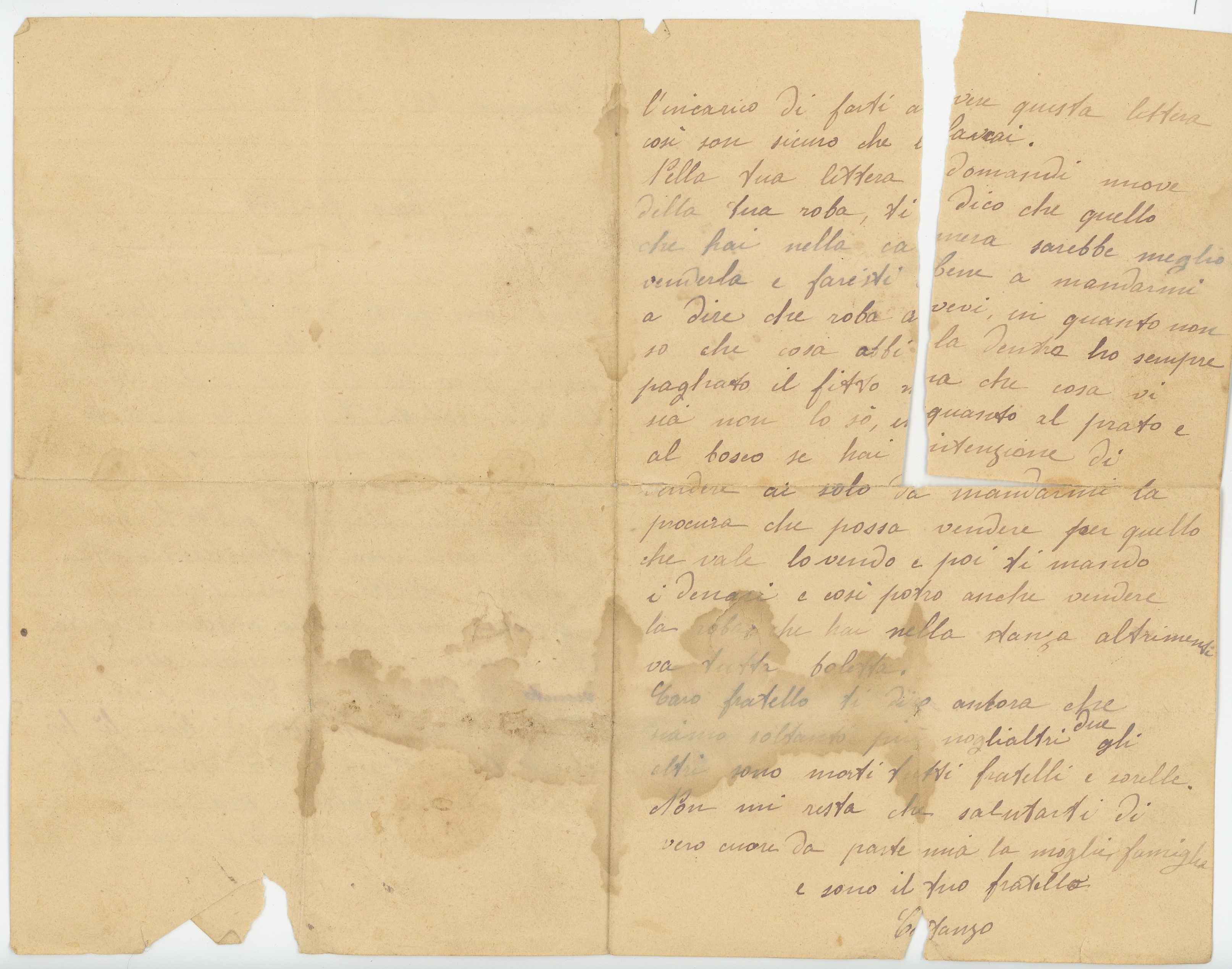 Archivos (Fotos / Imágenes)