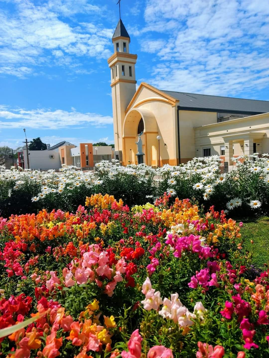 Archivos (Fotos / Imágenes)