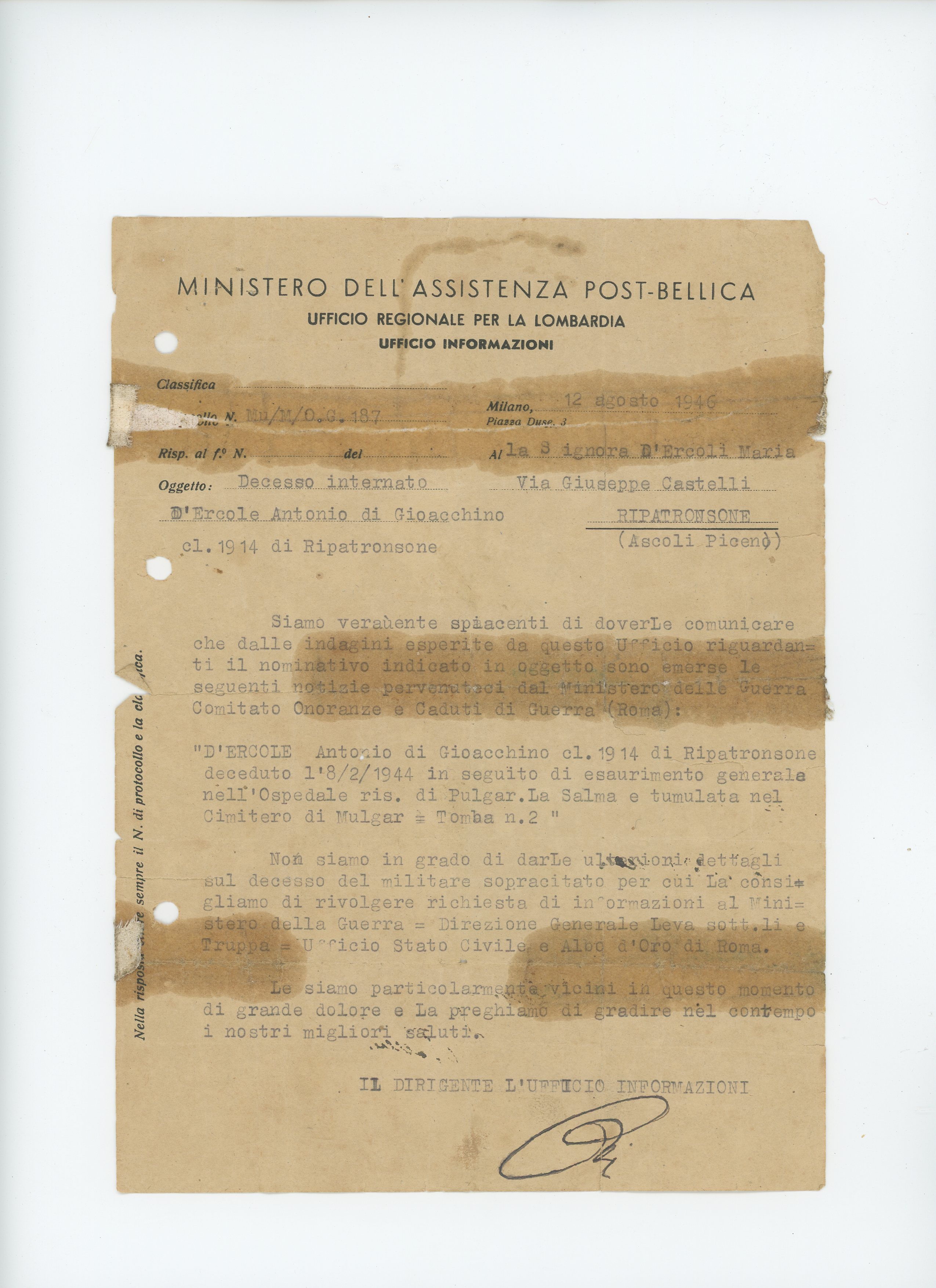 Archivos (Fotos / Imágenes)