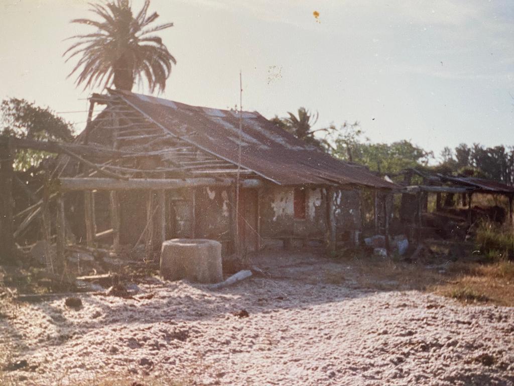 Archivos (Fotos / Imágenes)