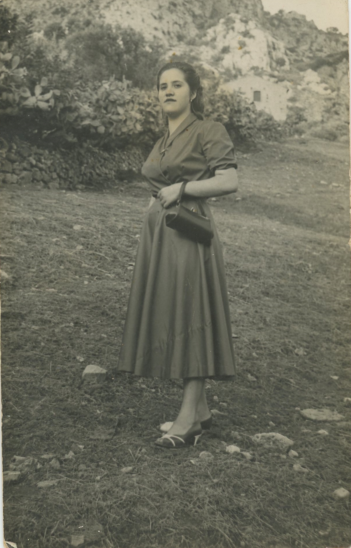 Archivos (Fotos / Imágenes)