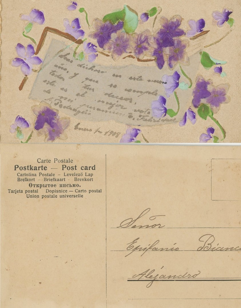 Archivos (Fotos / Imágenes)