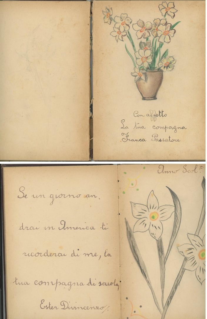 Archivos (Fotos / Imágenes)