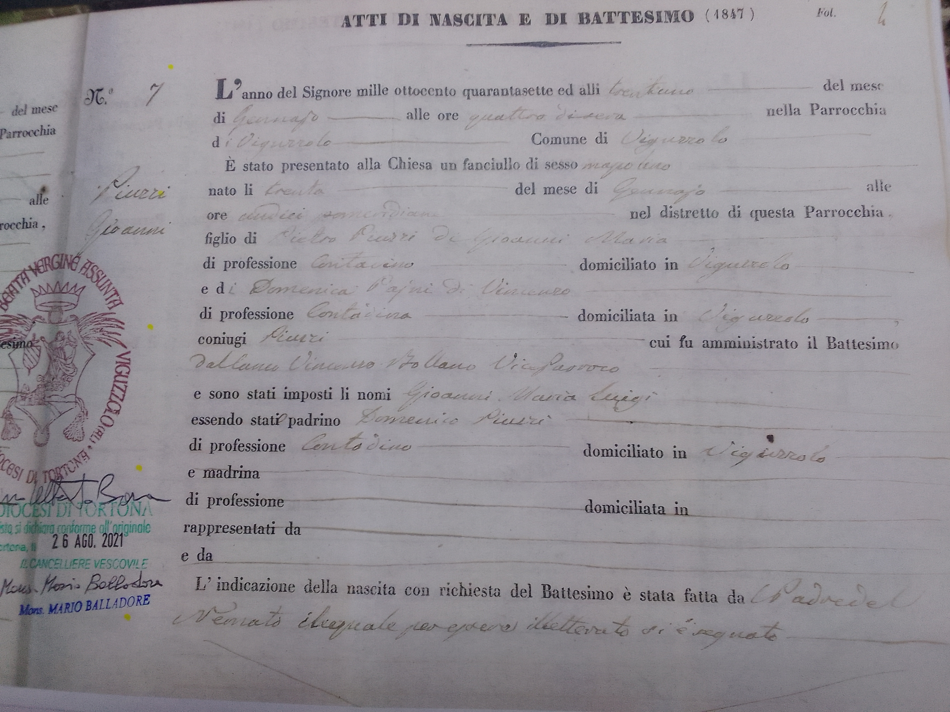 Archivos (Fotos / Imágenes)