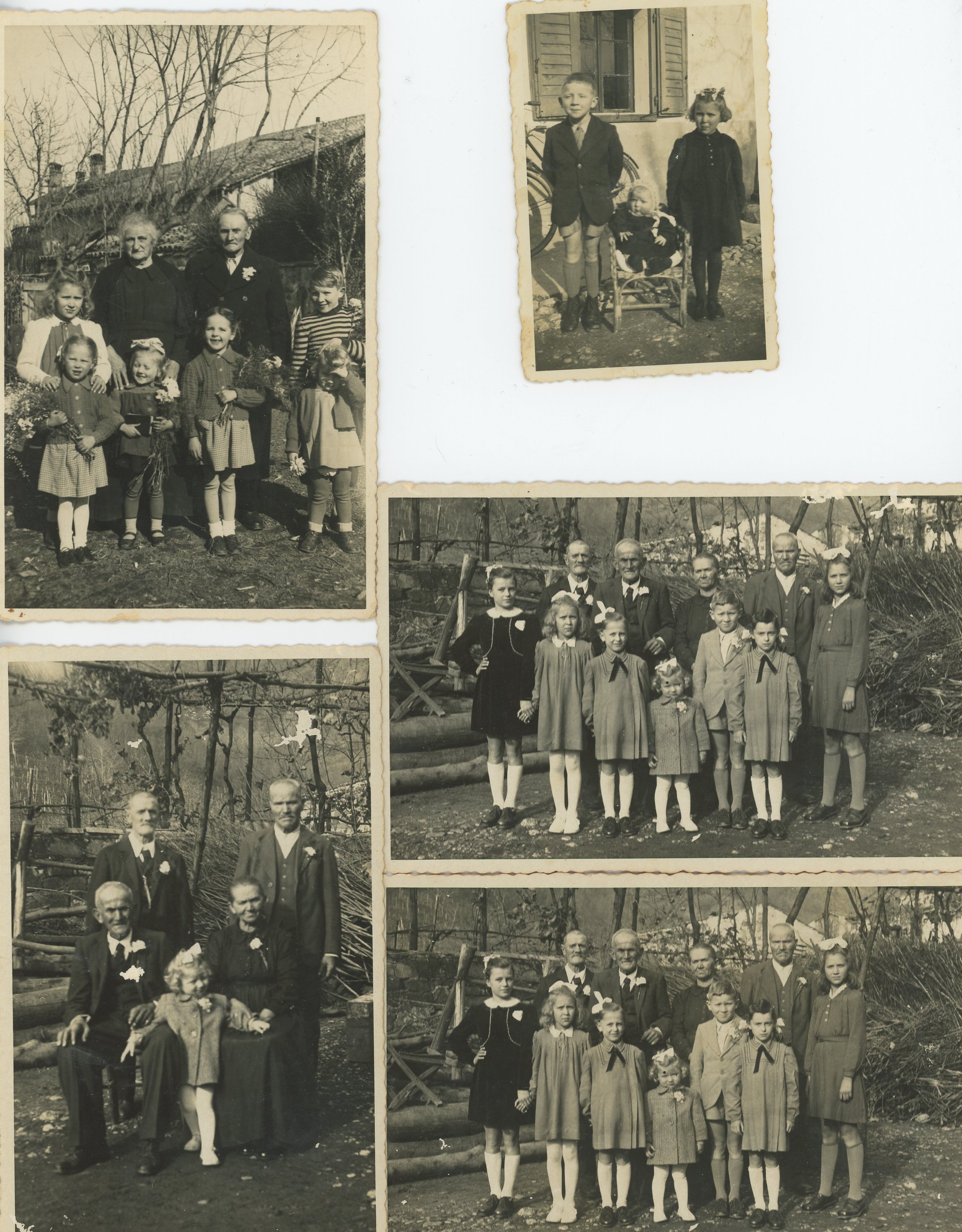 Archivos (Fotos / Imágenes)