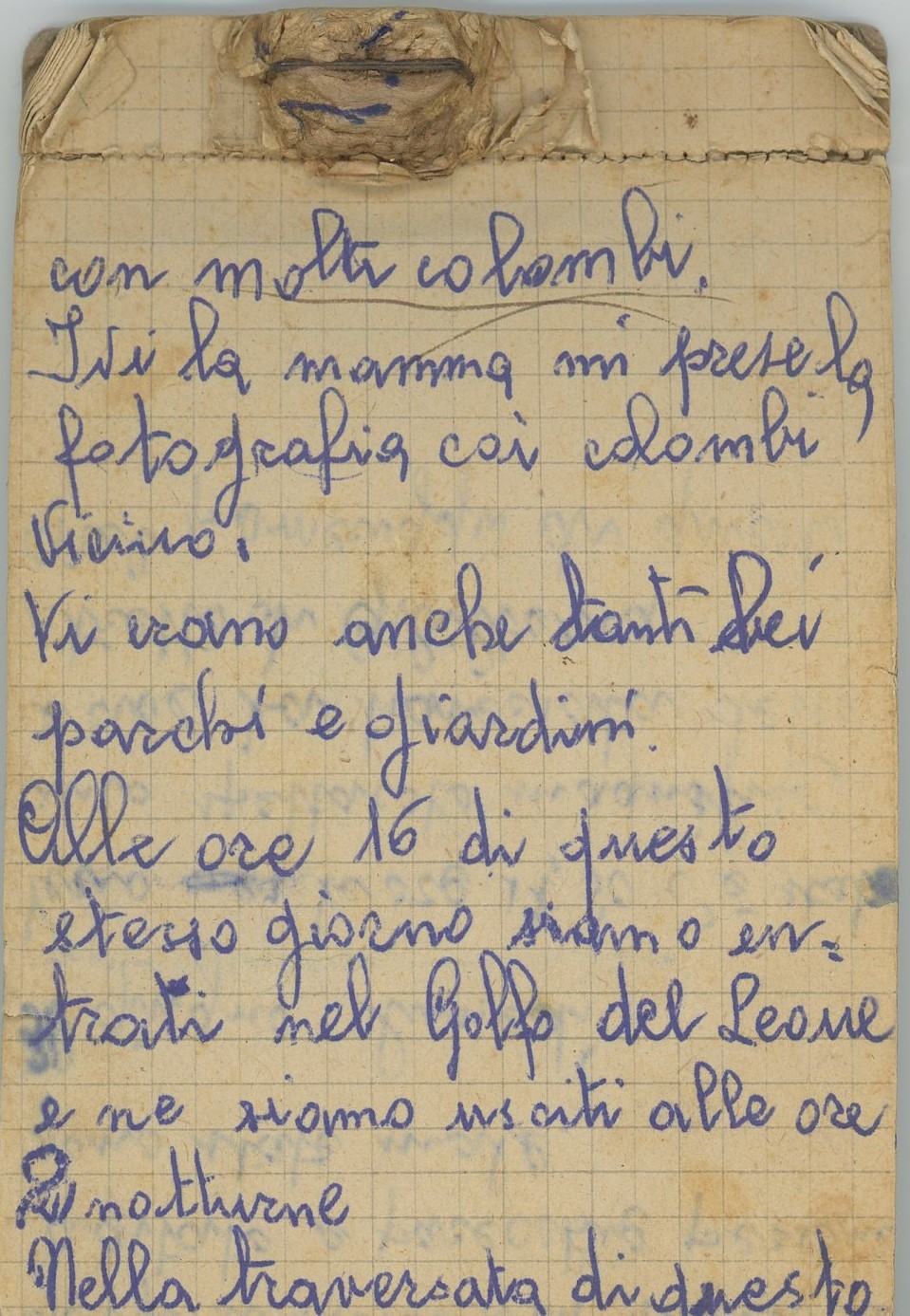 Archivos (Fotos / Imágenes)