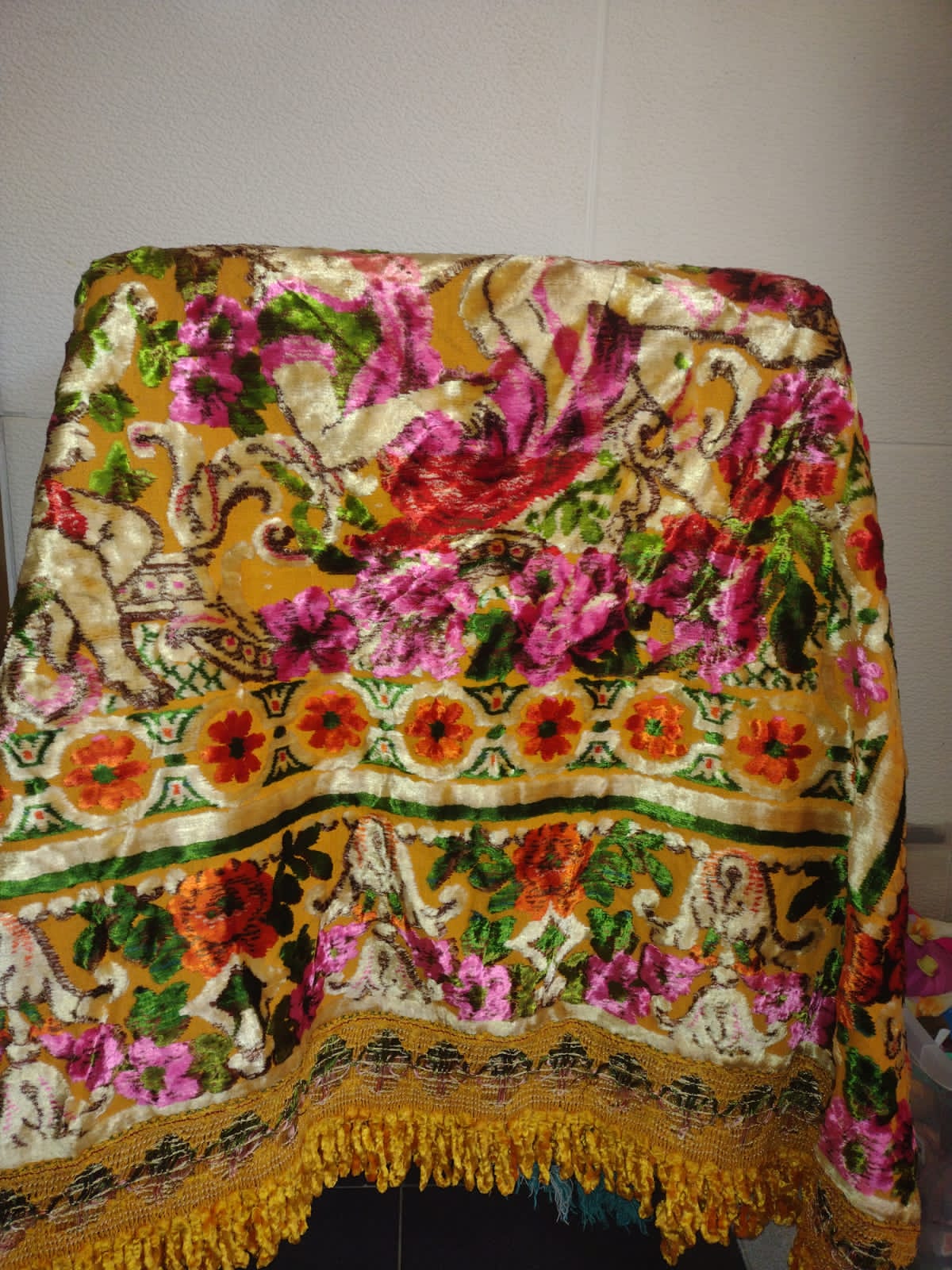 Archivos (Fotos / Imágenes)