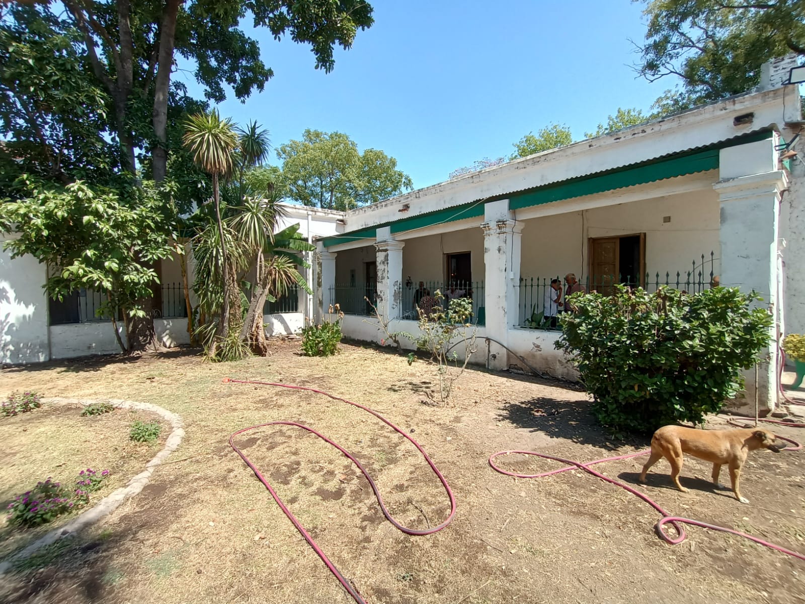 Archivos (Fotos / Imágenes)