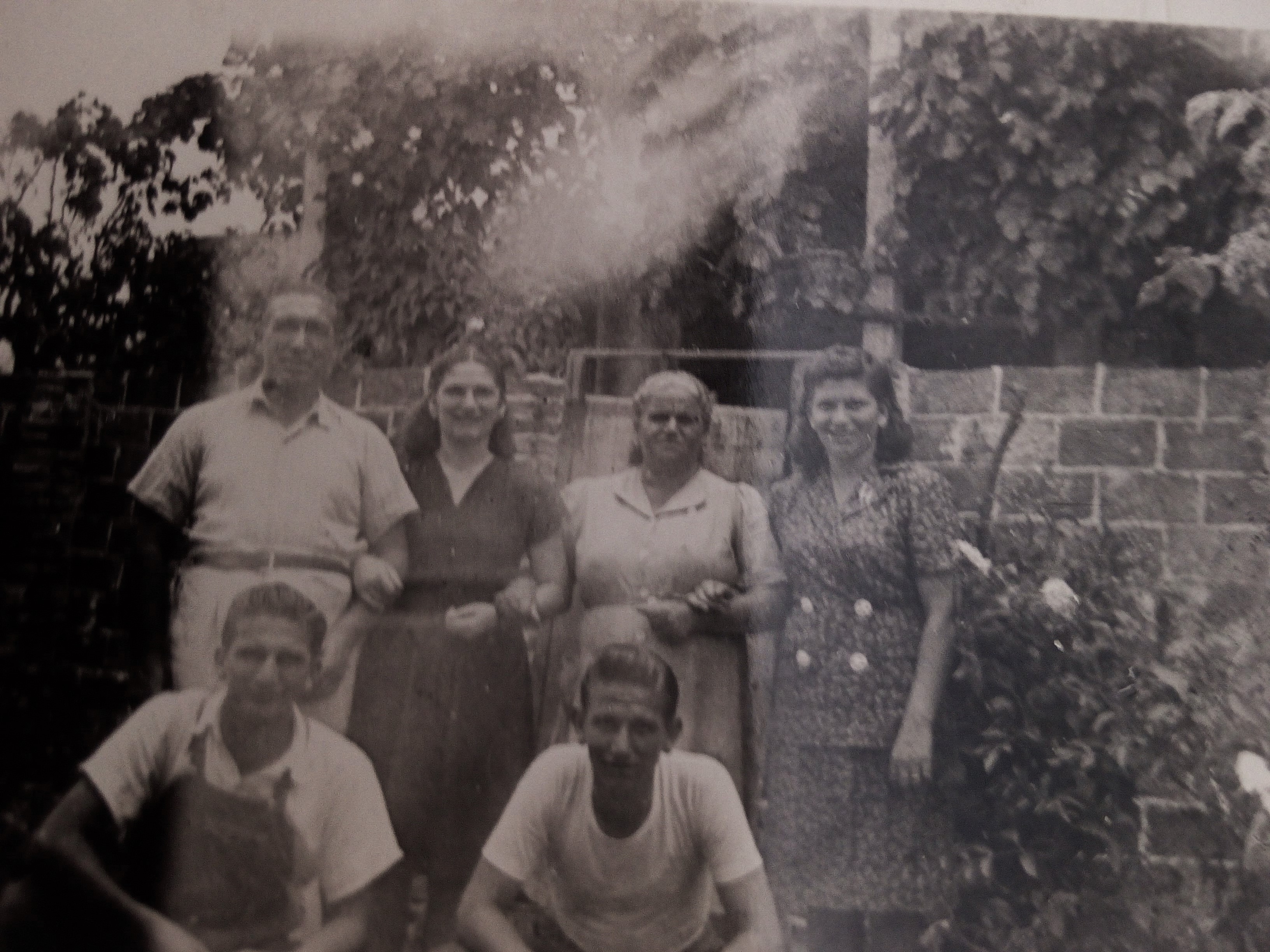 Archivos (Fotos / Imágenes)