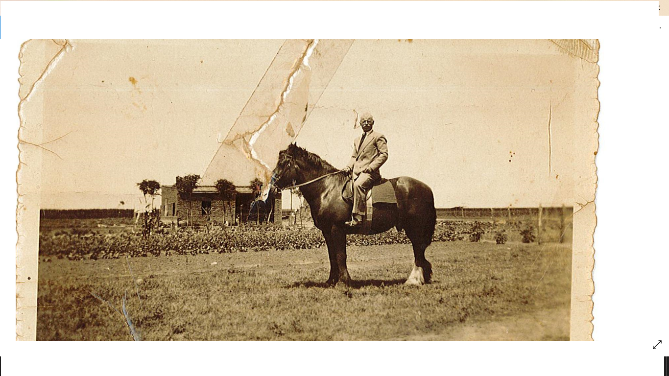 Archivos (Fotos / Imágenes)