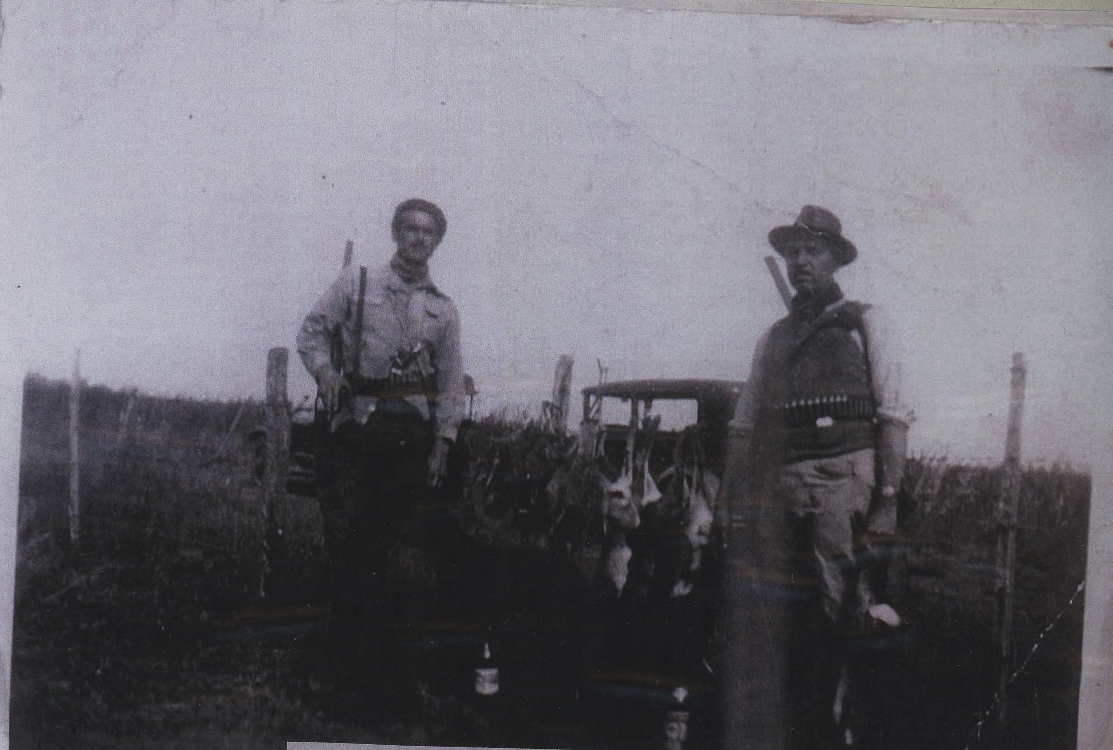 Archivos (Fotos / Imágenes)