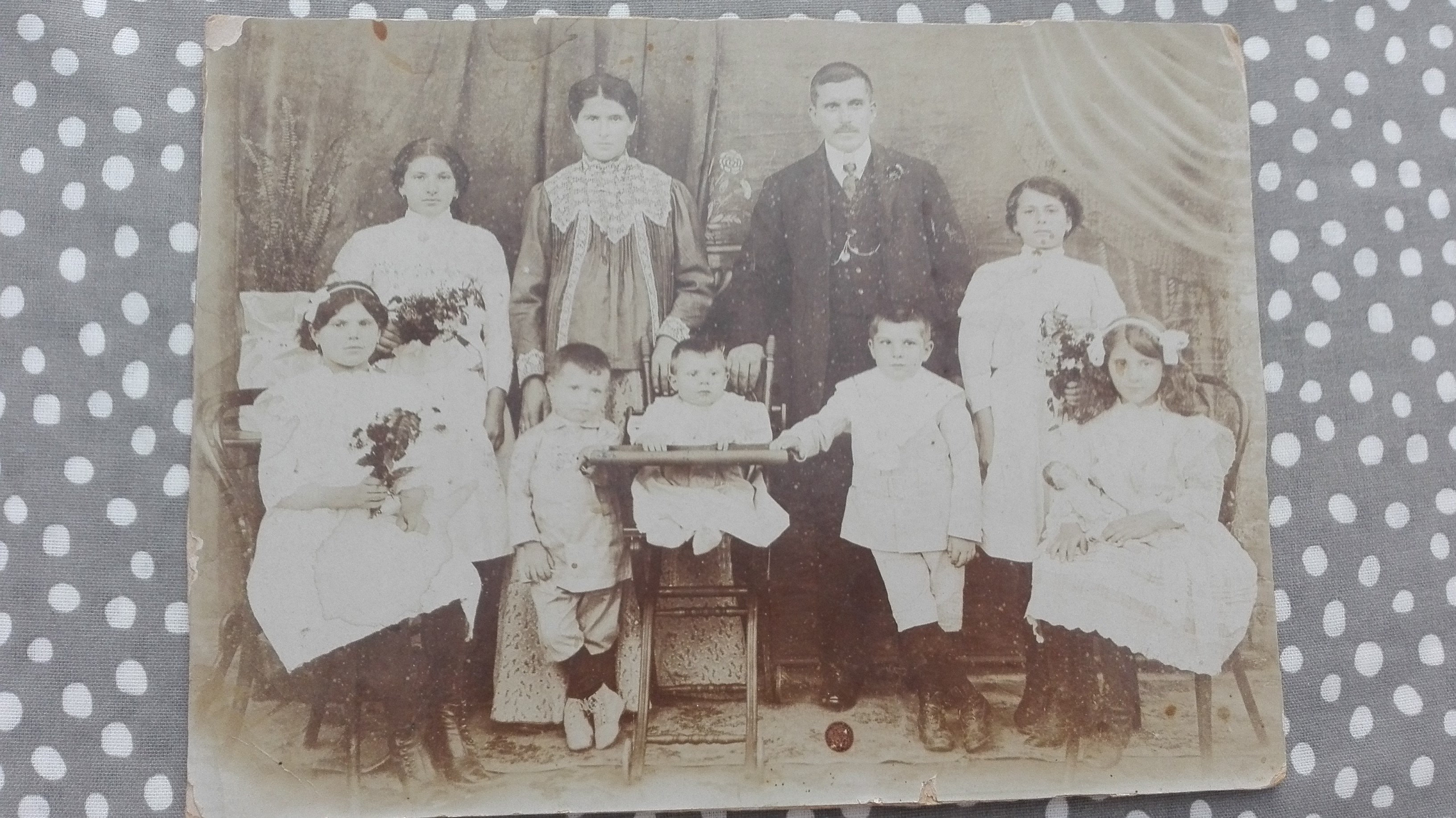 Archivos (Fotos / Imágenes)