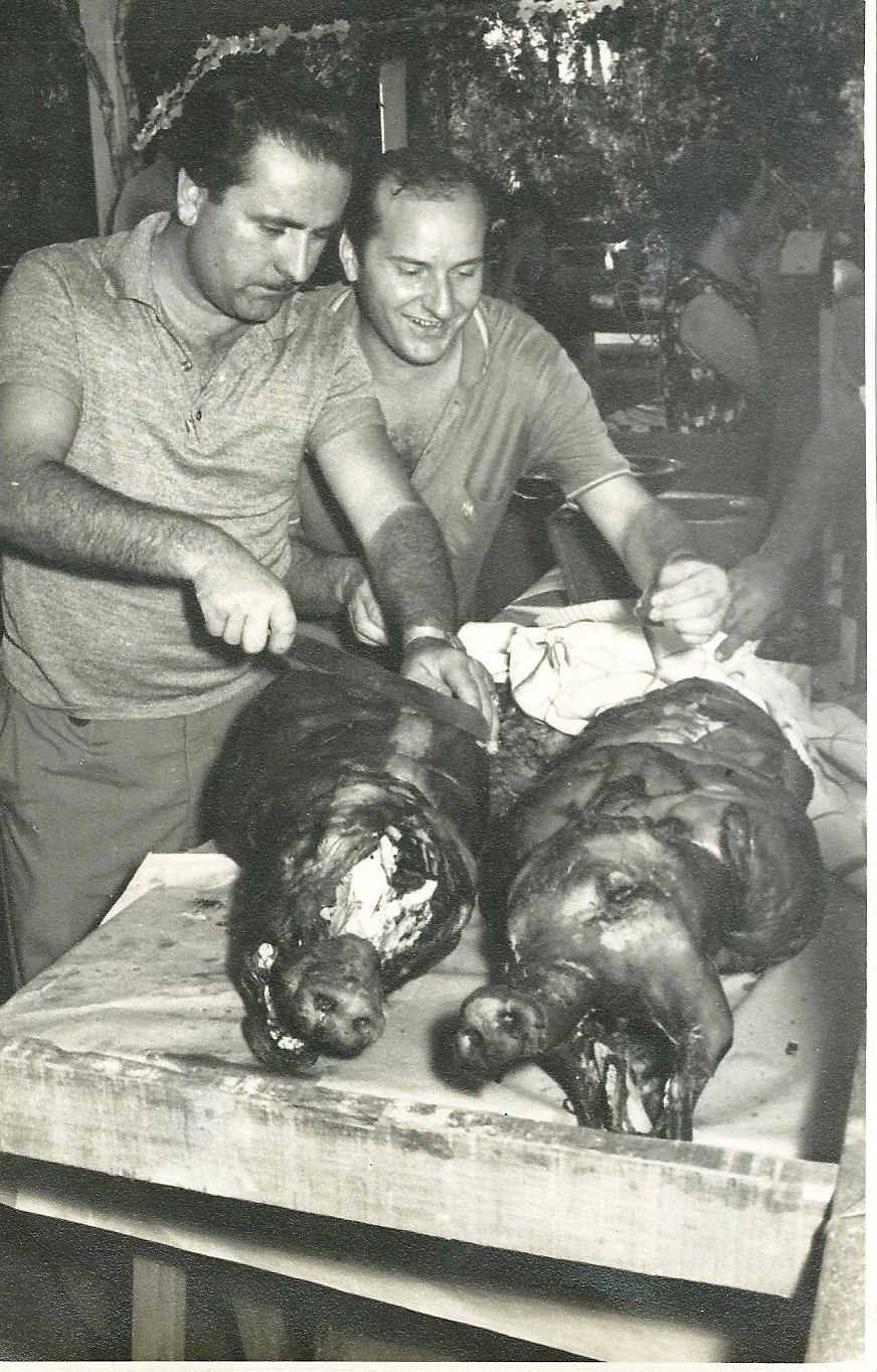 Archivos (Fotos / Imágenes)