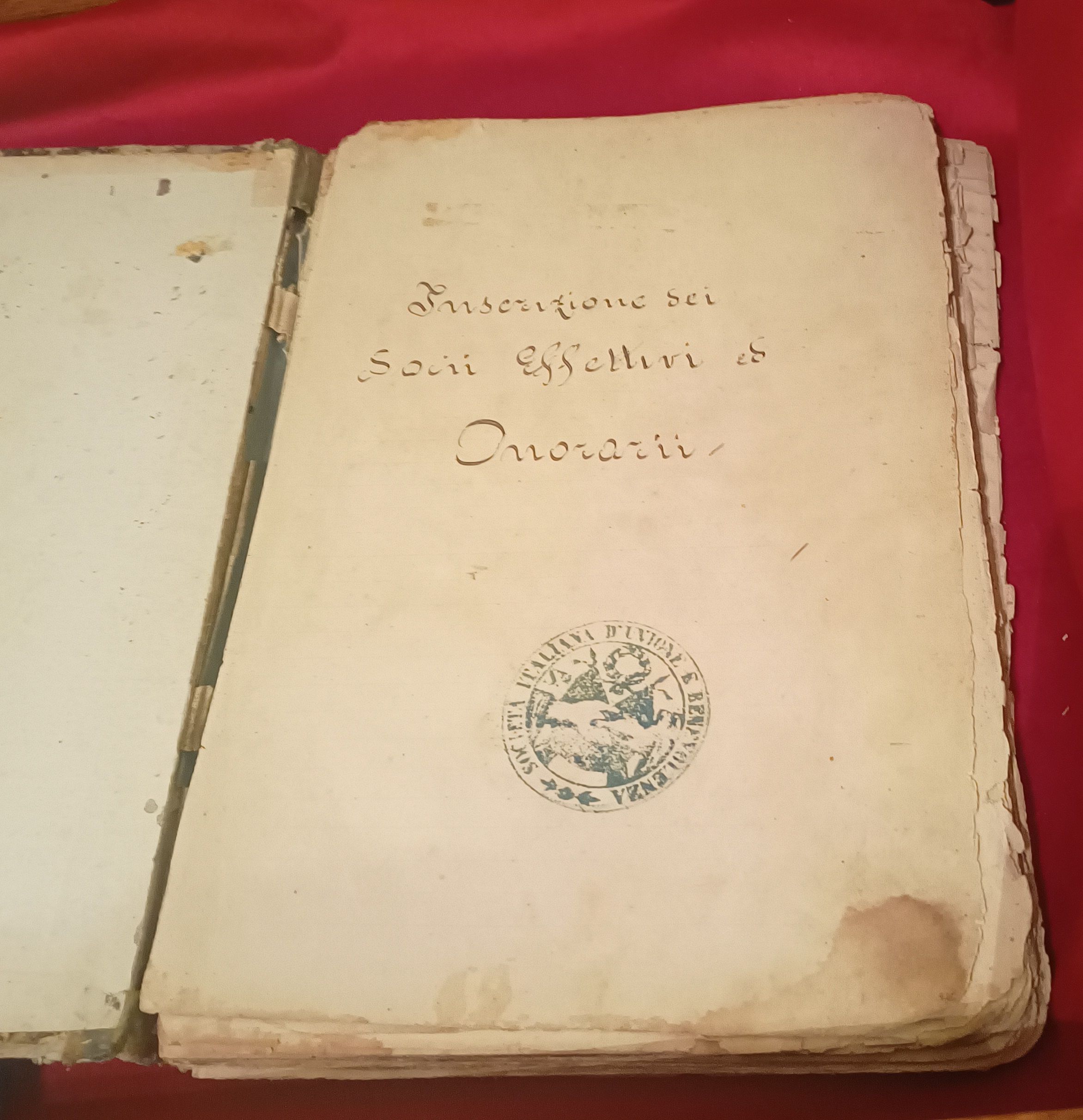 Archivos (Fotos / Imágenes)