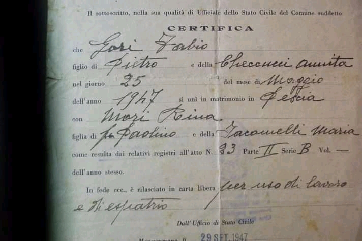 Archivos (Fotos / Imágenes)