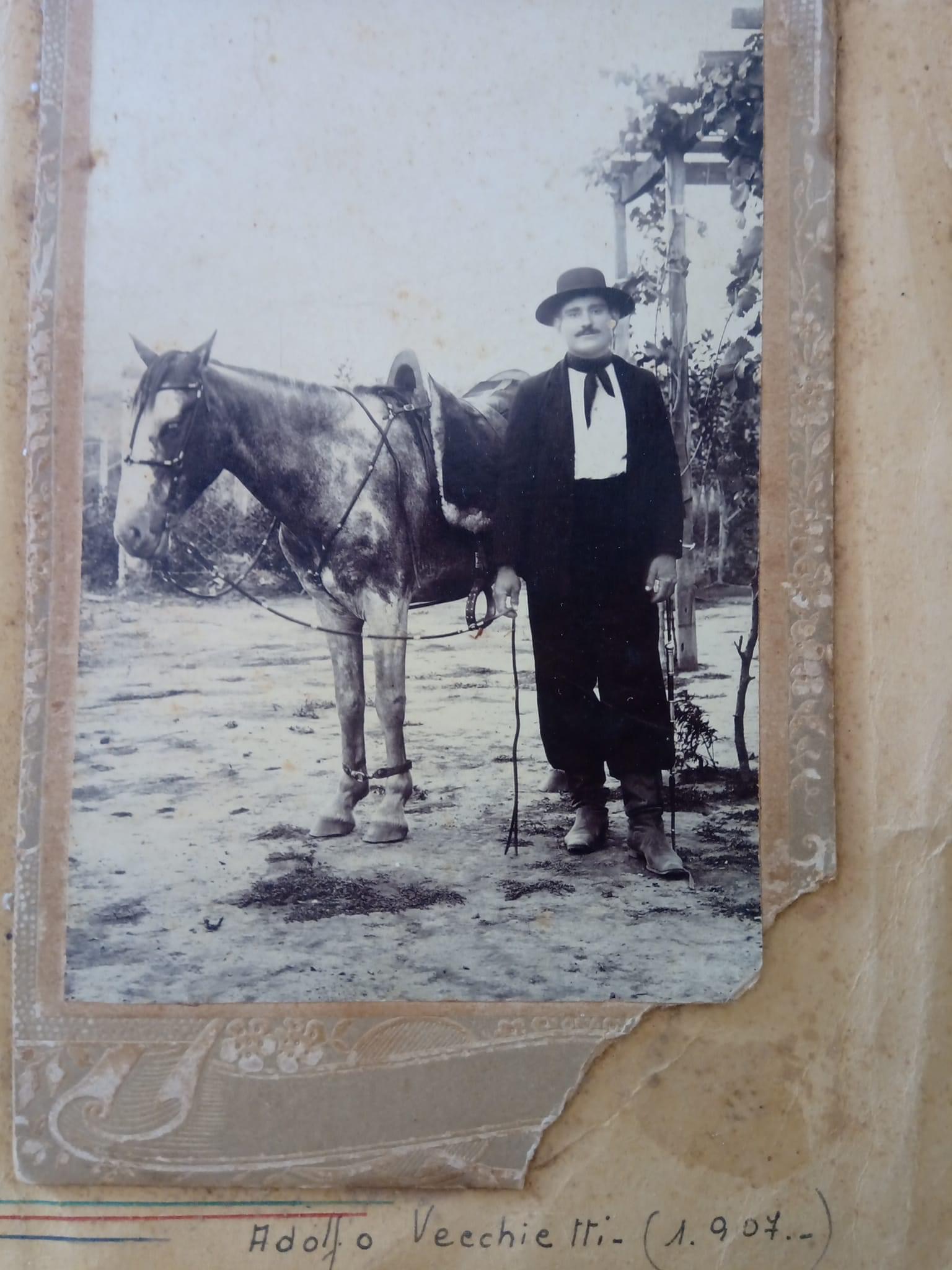 Archivos (Fotos / Imágenes)