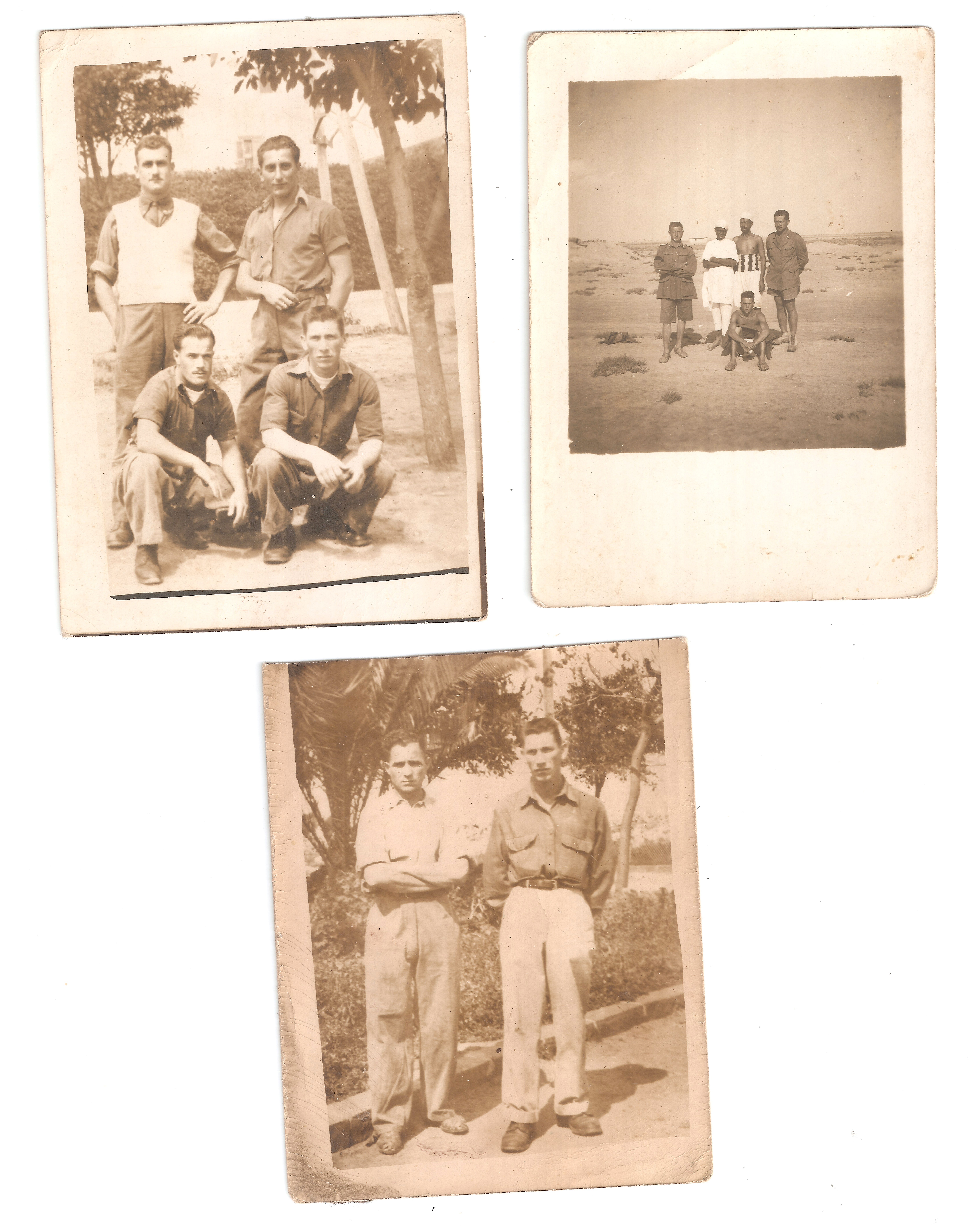 Archivos (Fotos / Imágenes)