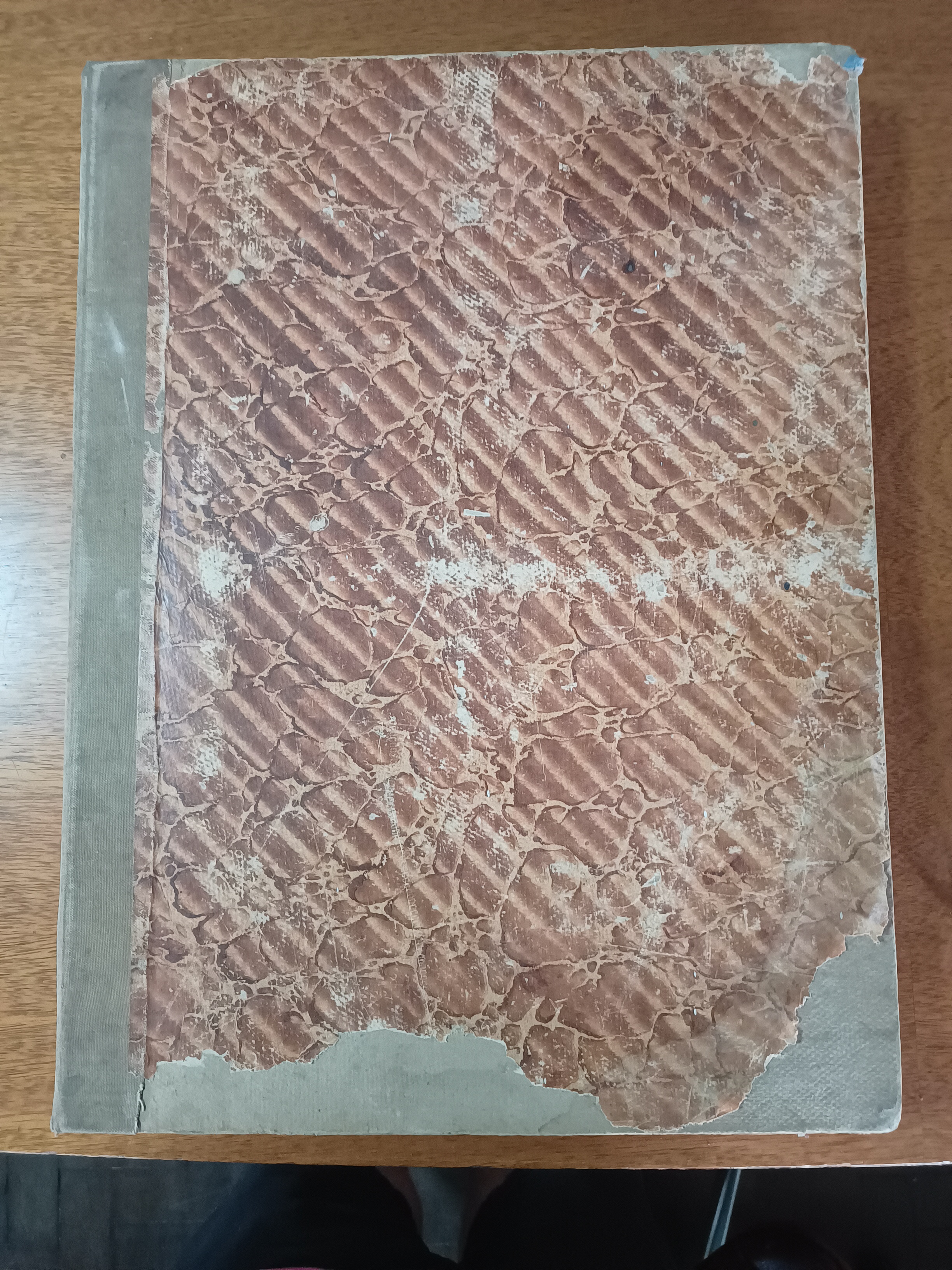 Archivos (Fotos / Imágenes)